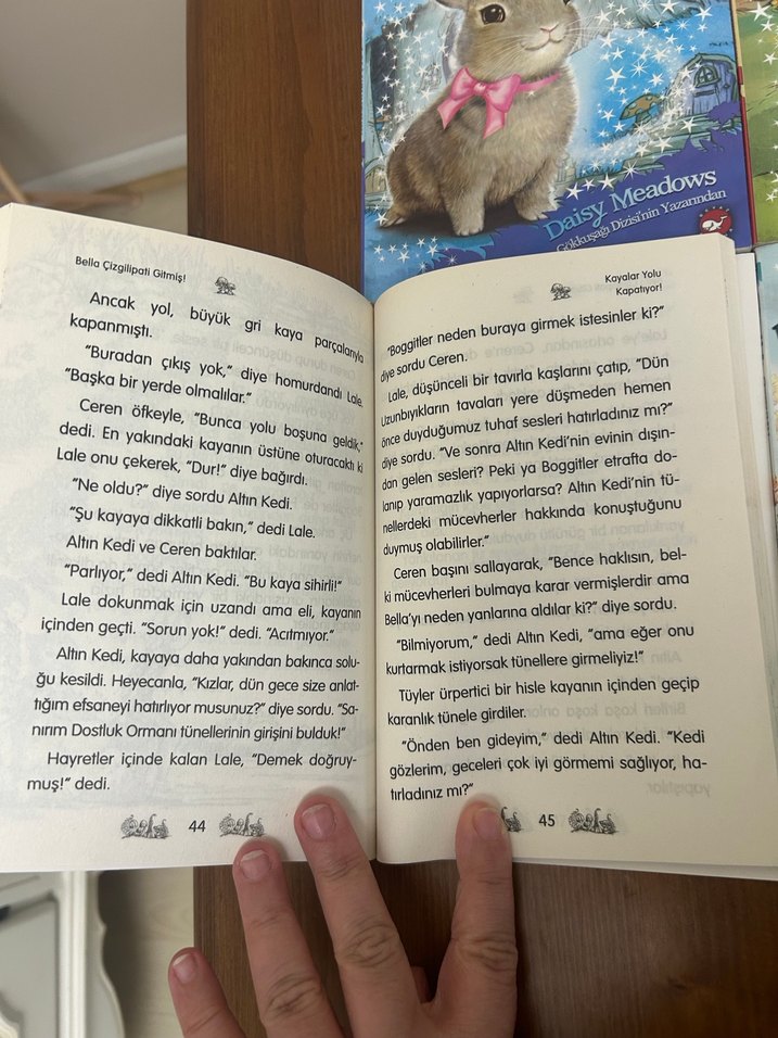 Dostluk Ormanı Çocuk Kitapları Seti - Görsel 2