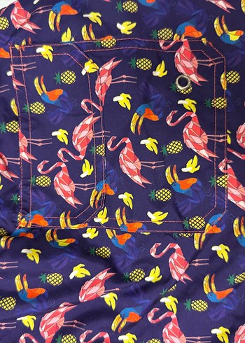 Renkli Desenli Erkek Mayo - Görsel 5