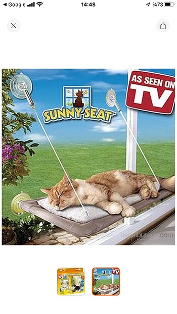 Kedi cam yatağı