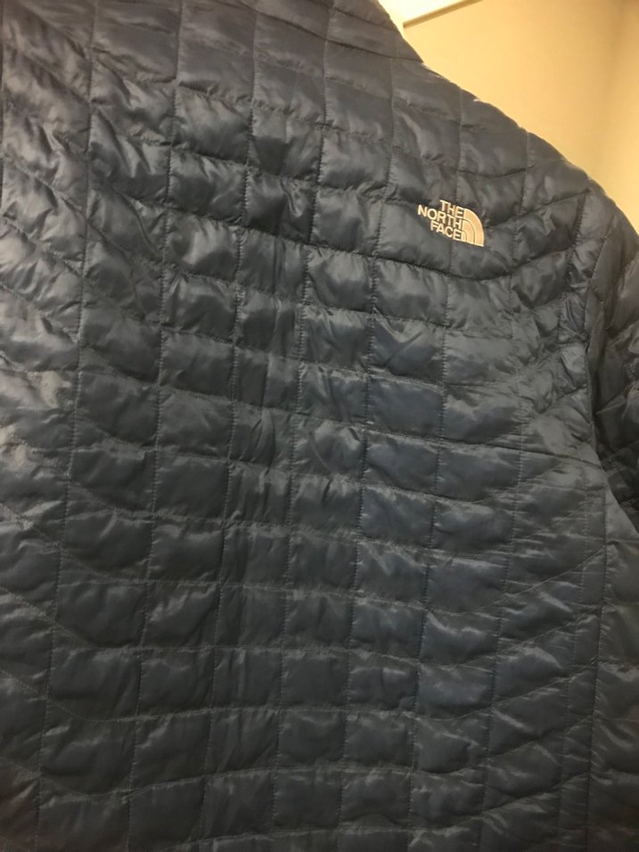 The North Face Mavi Fermuarlı kaz tüyü  Erkek Mont - Görsel 2