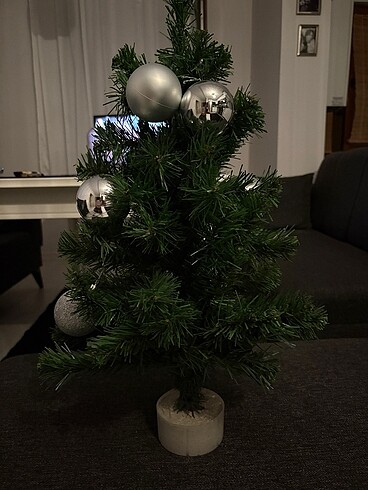 Cam agacı 80 cm
