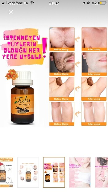  Beden Karınca yumurtası yağı