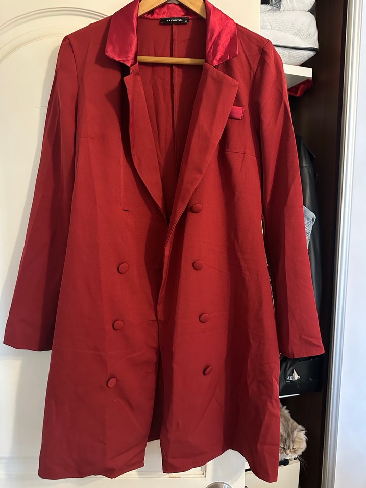 Blazer Ceket elbise - Görsel 3