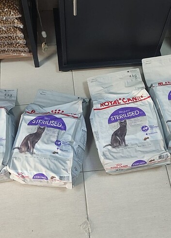 Royal canin sterilised kısır kedi maması