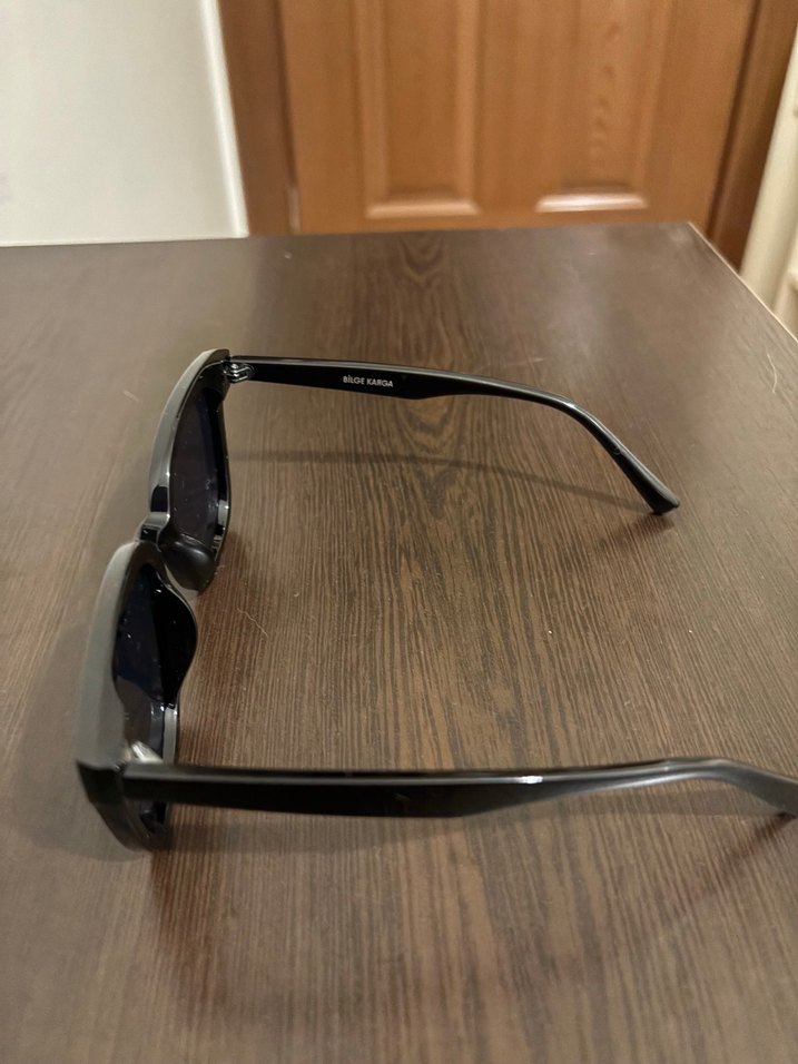 Bilge Karga Kadın Güneş Gözlüğü - Görsel 2