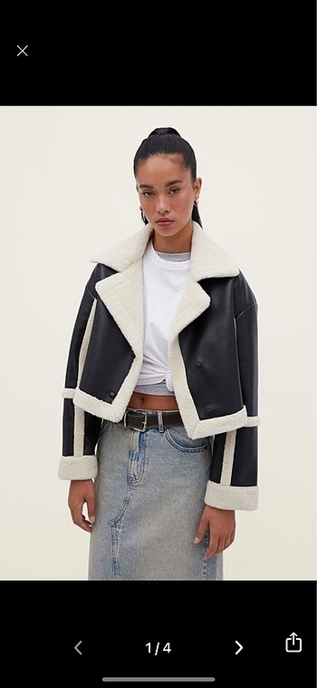 Stradivarius mont