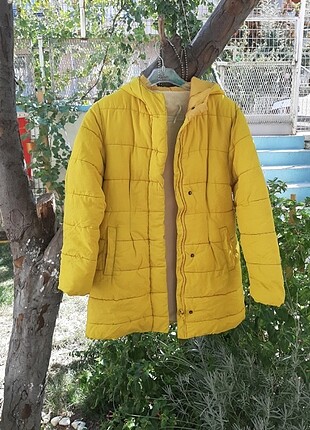 Koton Mont