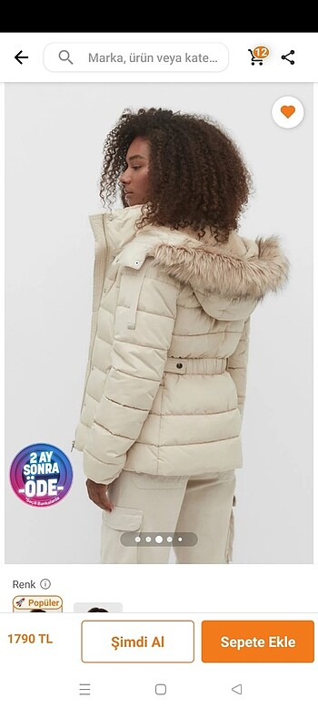 Stradivarius Mont