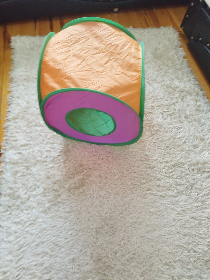 Renkli Kedi Oyun Tüneli - Görsel 4