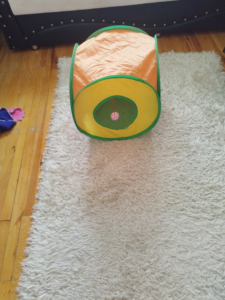 Renkli Kedi Oyun Tüneli - Görsel 3