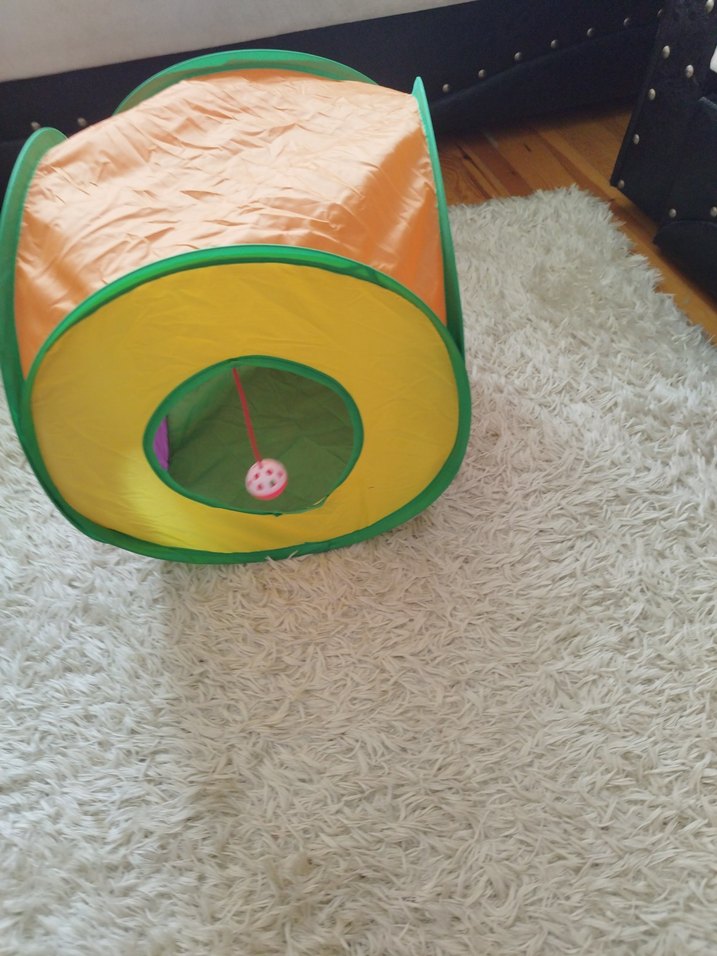 Renkli Kedi Oyun Tüneli - Görsel 2