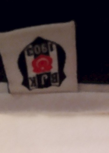 Beden Gri Biker Kartal Baskılı Erkek Tişört