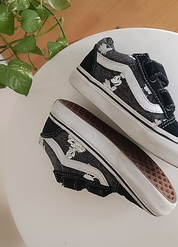 29 Beden Vans defosuz