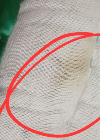 Parlak Yeşil Düz Yatak  yorganı - Görsel 5