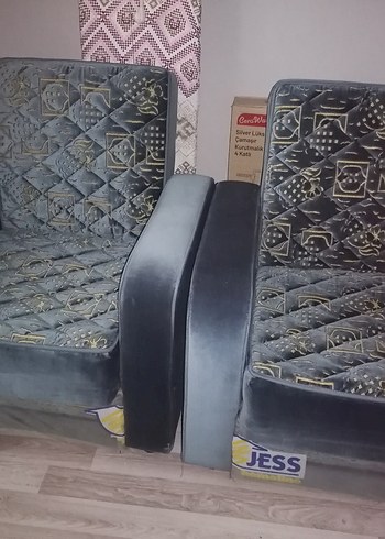 2 adet tekli koltuk kanepe