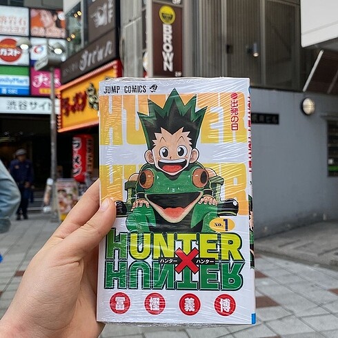 Hunter x hunter manga