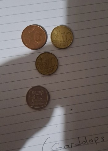  Minimalist Kahverengi Erkek Rozet