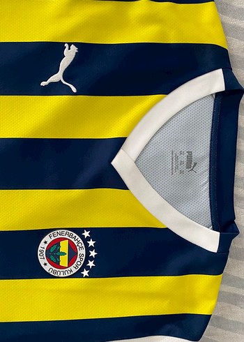 xxl Beden Fenerbahçe Sarı-Lacivert 23-24