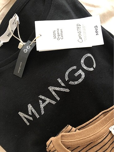 Mango Mango Basic T-shirt