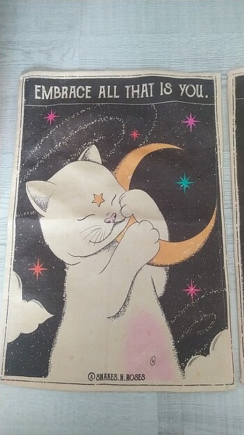 Kedi odası duvar posteri 