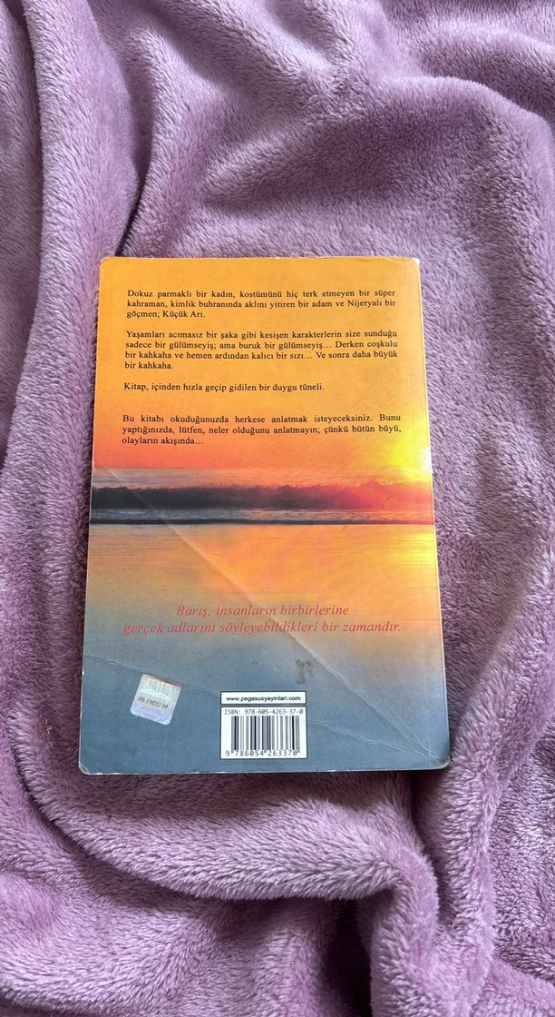 Küçük Arı - Chris Cleave - Görsel 2