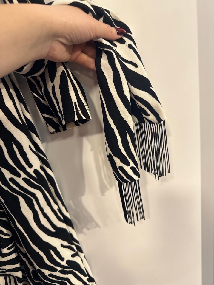 Zebra Desenli Uzun Kollu Kadın Elbise - Görsel 4