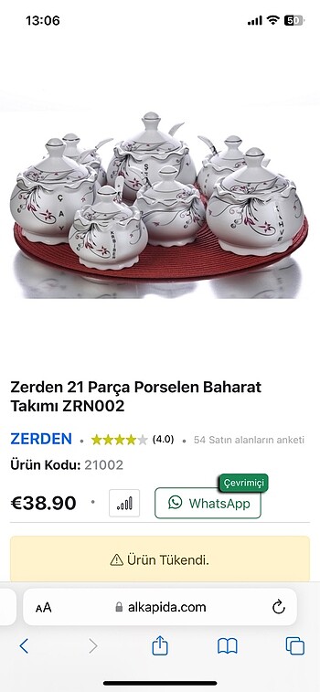 Zerden 21 parça porselen baharat takımı