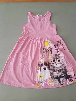 Kedi kçpek şuş desenli penye elbisr 