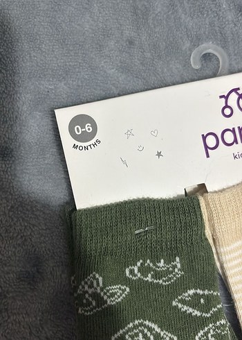 Panco Erkek Çocuk Çok Renkli Desenli Çorap Seti - Görsel 2