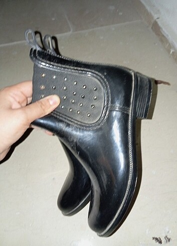 Zara Bot...