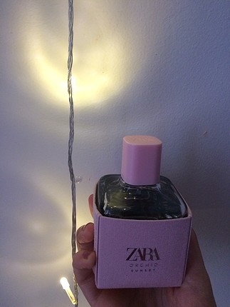 Zara orchid