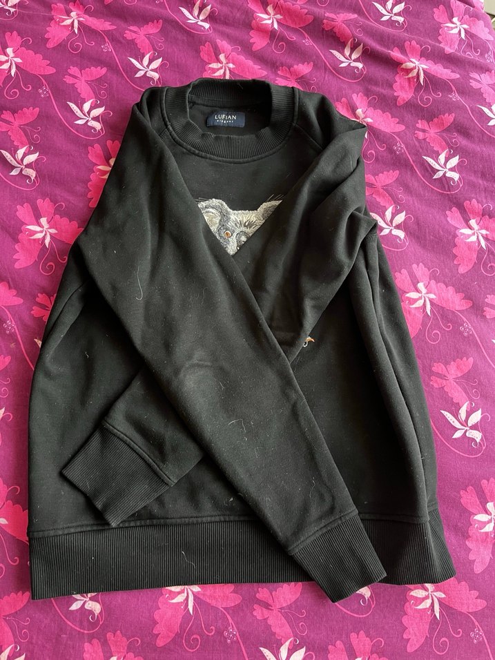 Lufian siyah erkek koala sweatshirt - Görsel 3