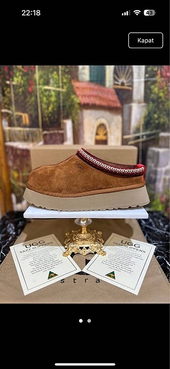 Ugg tazz