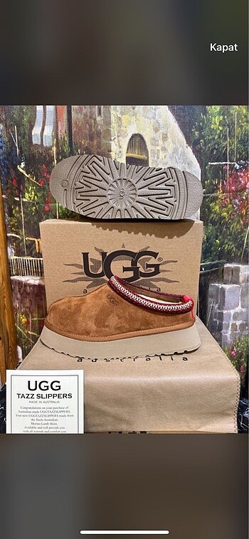 Ugg Ugg tazz
