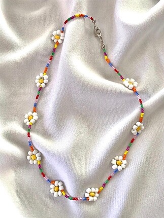 Rainbow daisy