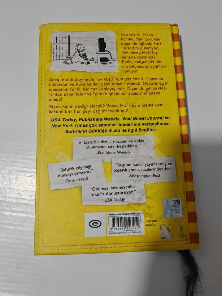 Saftirik Greg'in Günlüğü: İşte Şimdi Yandık! - Görsel 2
