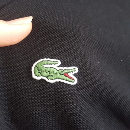 orjinal lacoste erkek tshirt m/l 