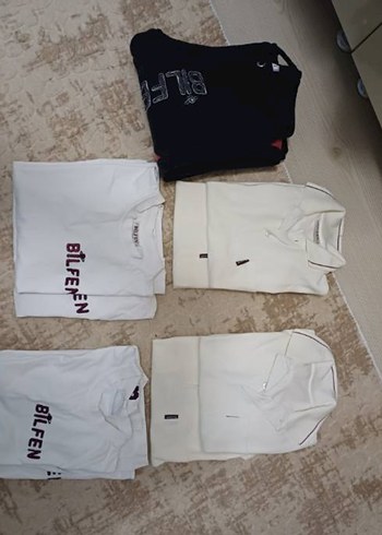 Boys Cotton Sweatshirt with Crew Neck