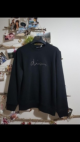 dior sweatshirt 