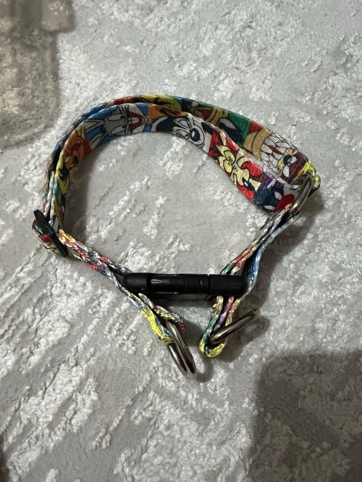 Köpek için Çok Renkli Fiyonklu Tasma - Görsel 2