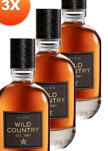 Avon Wild Country Erkek Parfümü 3'lü Set