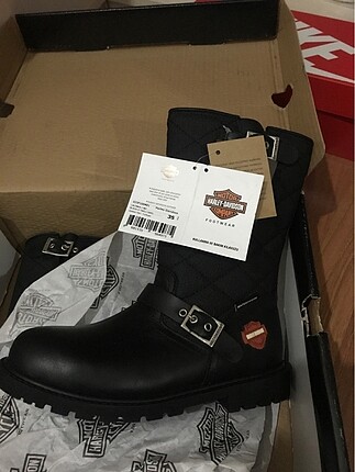 harley davidson bot