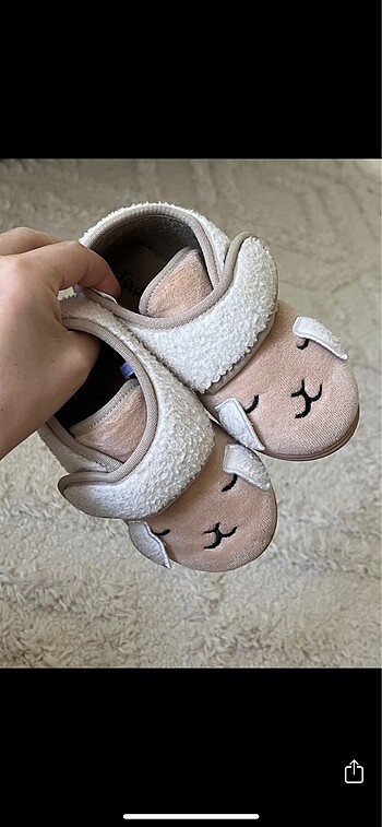 First Step Kuzu cırtcırtlı ev pandufu