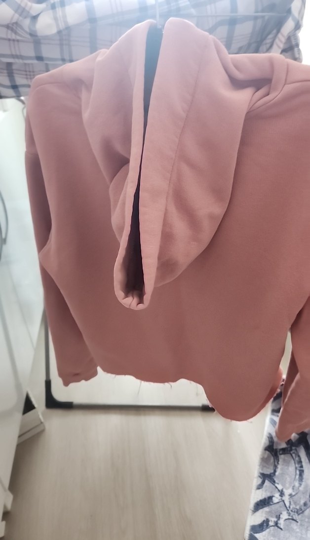 açık pembe Kadın Kapüşonlu  crop Sweatshirt - Görsel 2