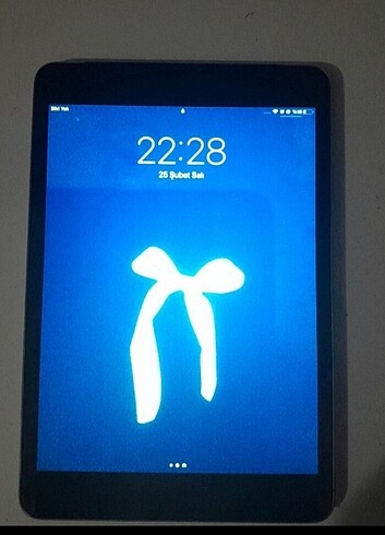 ipad mini 2