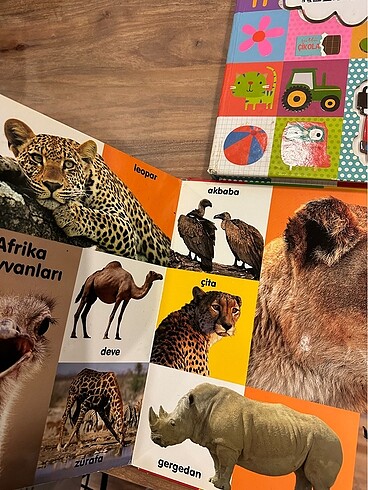 Eğitici kitap 3 kitap - Görsel 2