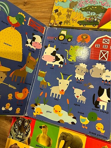 Eğitici kitap 3 kitap - Görsel 4