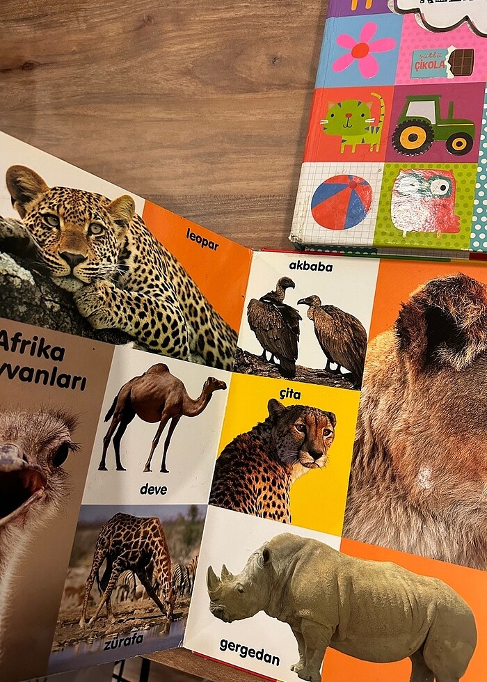 Eğitici kitap 3 kitap - Görsel 2