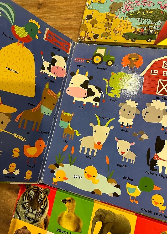 Eğitici kitap 3 kitap - Görsel 4