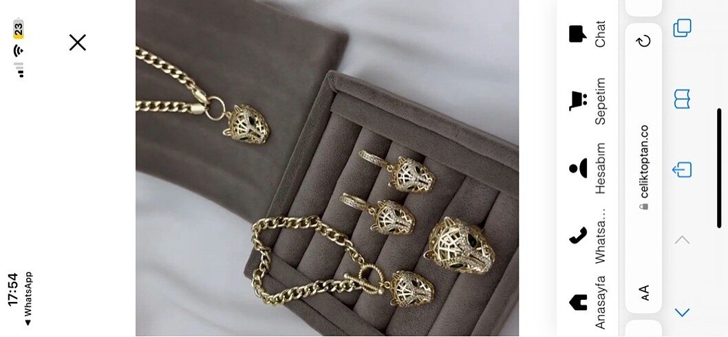 Beden çeşitli Renk CARTIER MODEL TİGER KOLYE ????